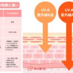 UV-AとUV-Bの特徴と違い